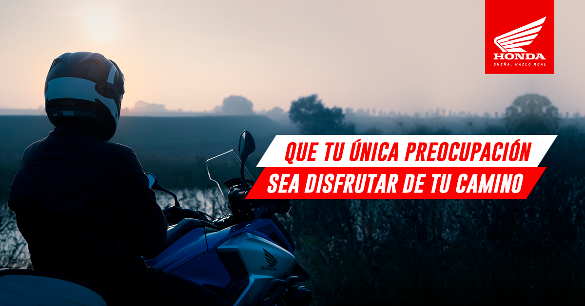Seguro de vida a deudores				